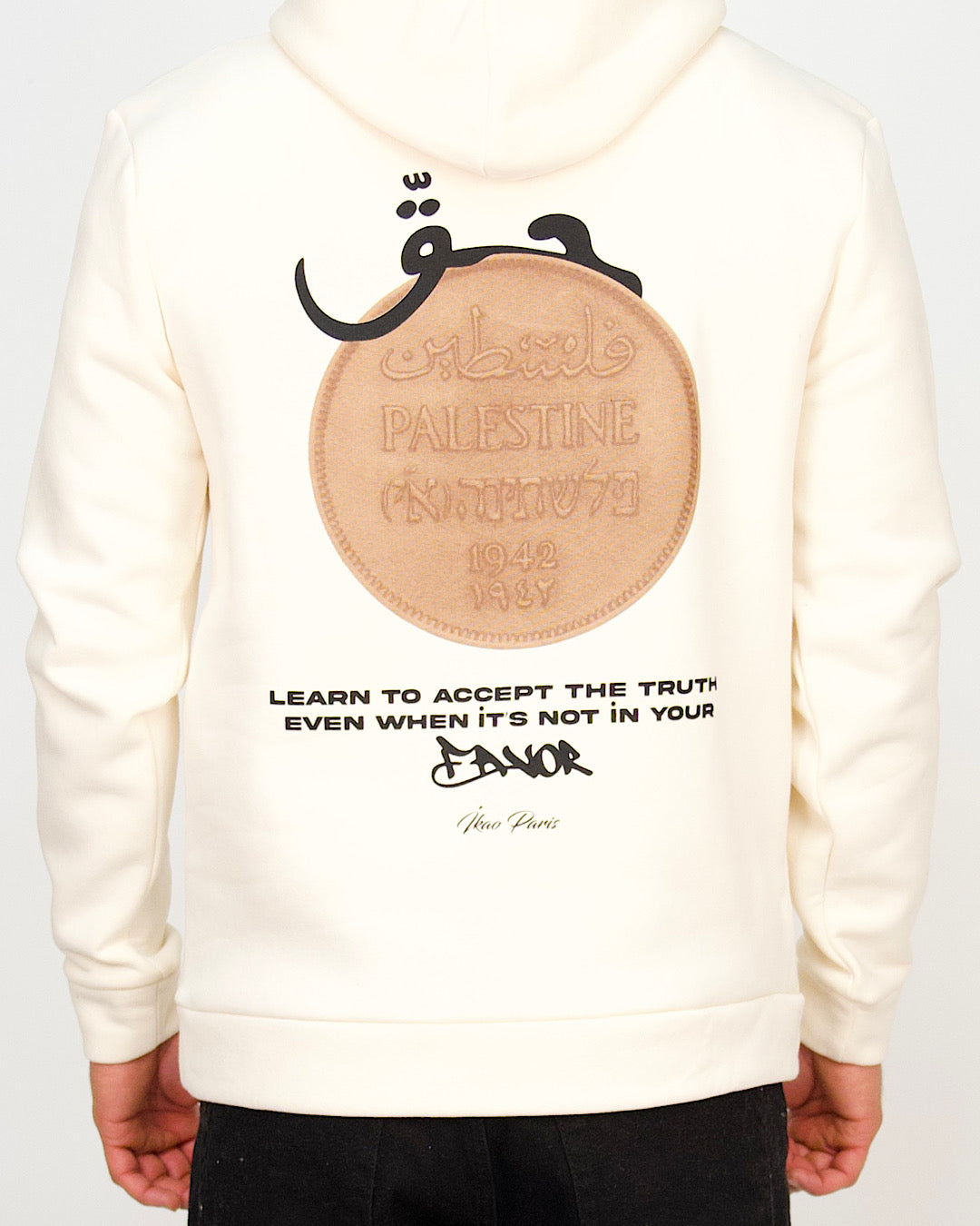 Palestine Coin Graphic Hoodie